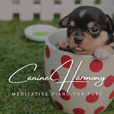 Gentle Bond with Canines