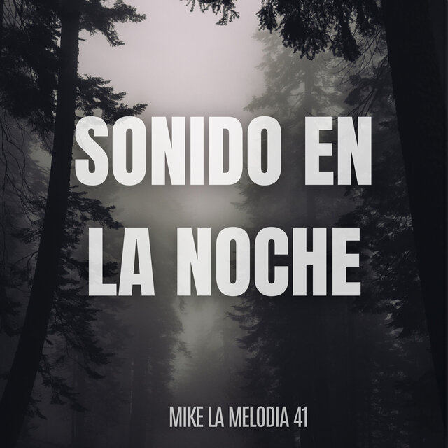 Sonido en la Noche