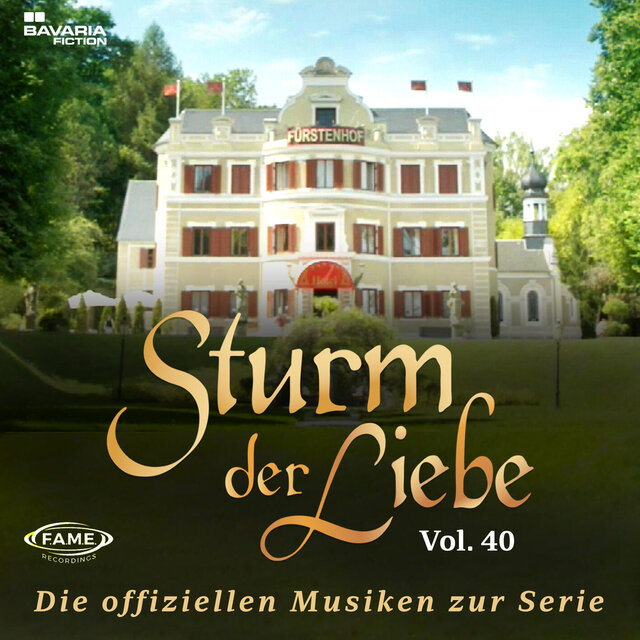 Die offiziellen Musiken zur Serie Vol.40