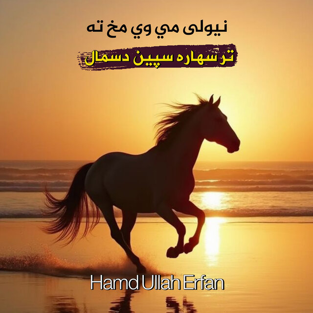 نيولی مي وي مخ ته تر سهاره سپين دسمال