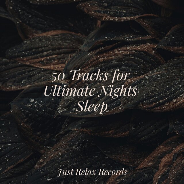 50 Tracks for Ultimate Nights Sleep
