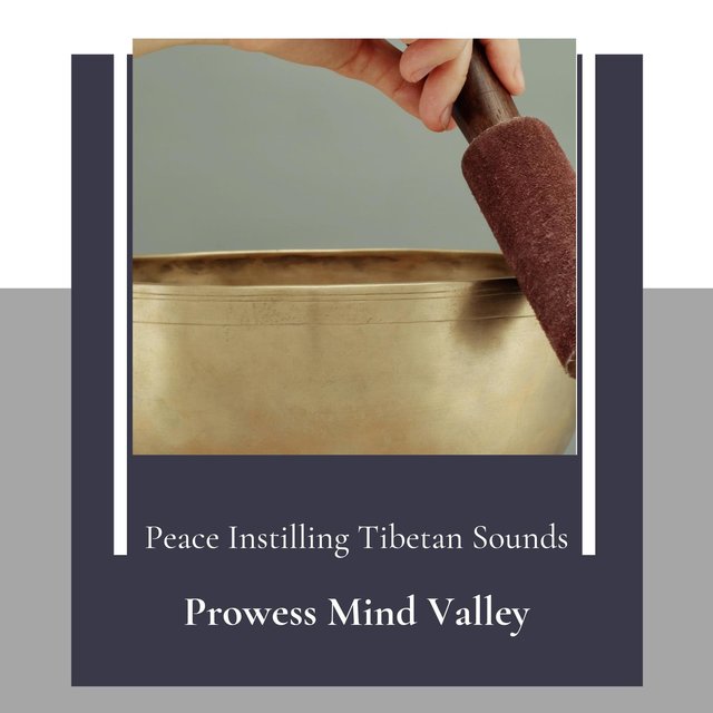 Prowess Mind Valley (Peace Instilling Tibetan Sounds)
