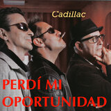 Perdí Mi Oportunidad