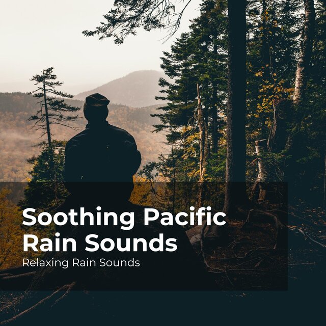 Soothing Pacific Rain Sounds