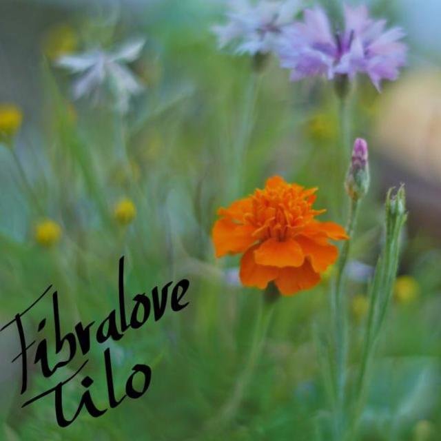 Tilo