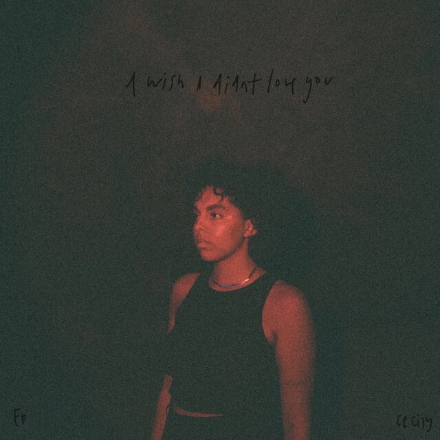 I Wish I Didn't Love You
