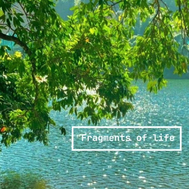 Fragments of Life