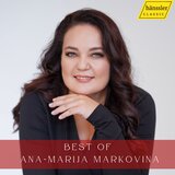 Piano Concerto in A Minor, Op. 16: II. Adagio