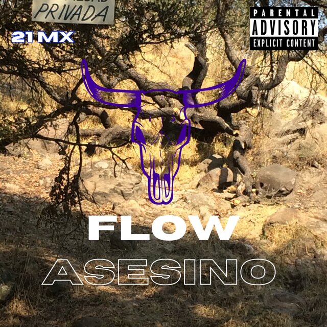 Flow Asesino