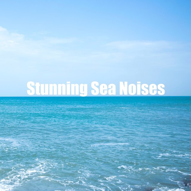 Stunning Sea Noises