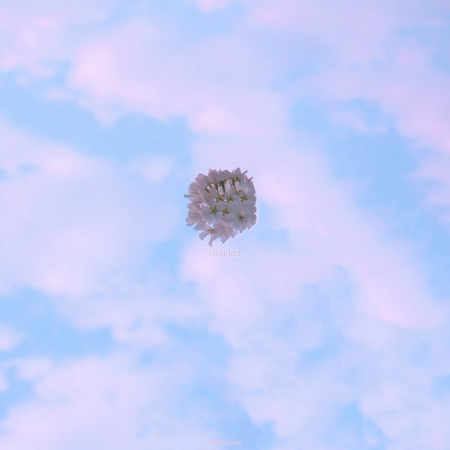 Clouded