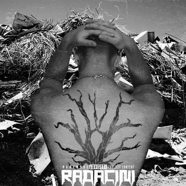 Radacini