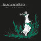Cover art for album Salt in My Eyes by BlackboxRed