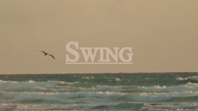 Swing