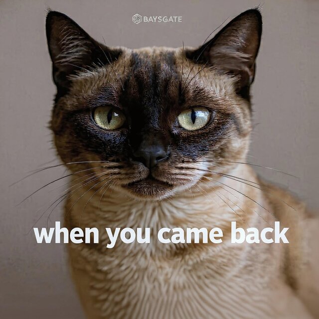 Cover art for album  by BAYSGATE, Ray Sweetwater