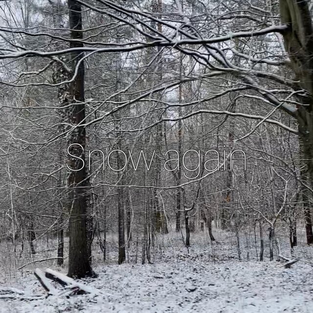 Snow again