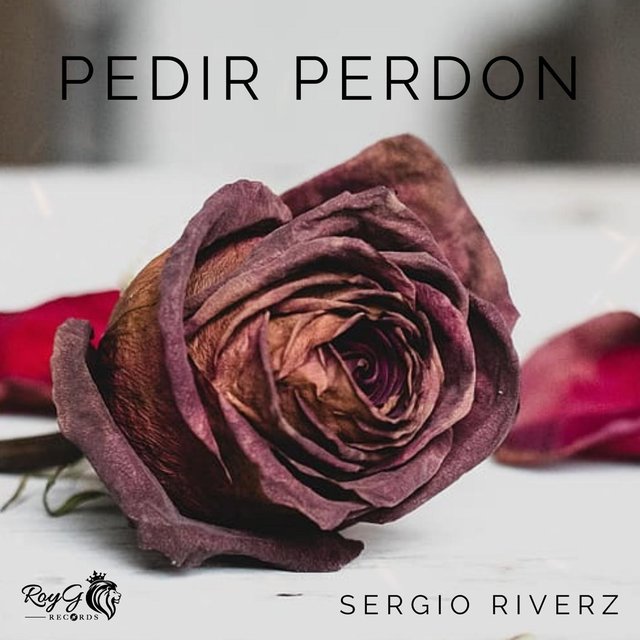 Pedir Perdon