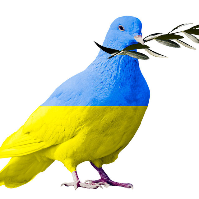 Gryning över Kiev