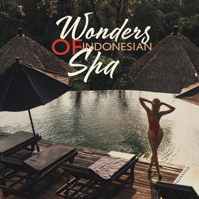 Wonders of Indonesian Spa (Relaxing Hangdrum for Bali Spa Experience)