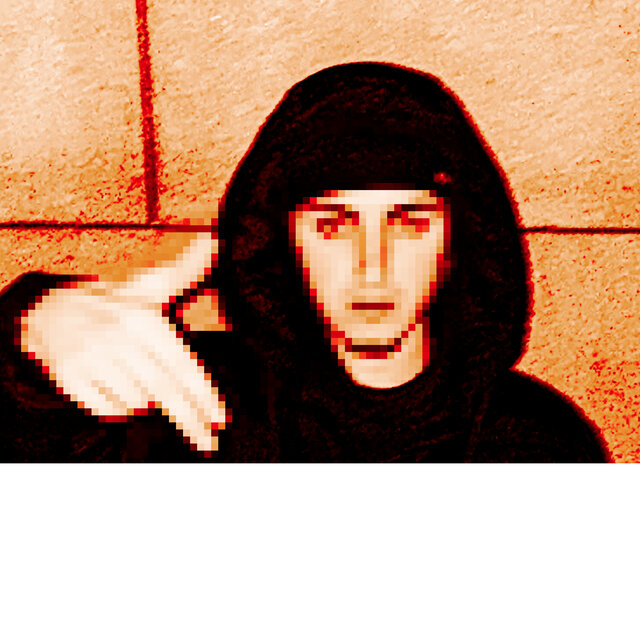 Nobody (Slowed 2 Perfection) (Remix)