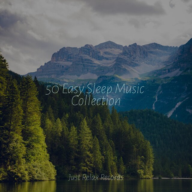50 Easy Sleep Music Collection