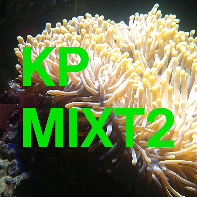 MixT2