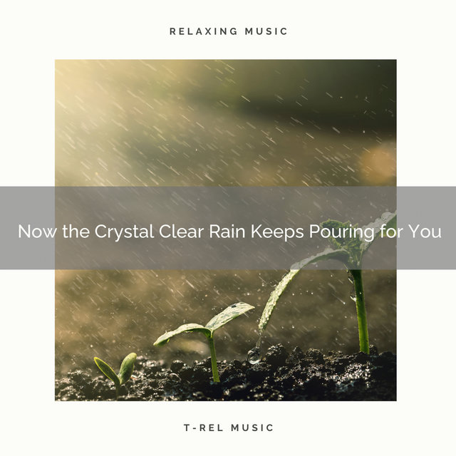 2020 Best: Now the Crystal Clear Rain Keeps Pouring for You