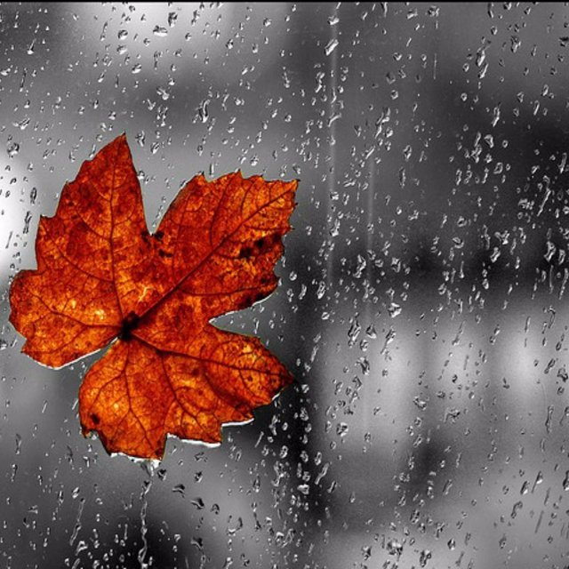 11 Am Rain