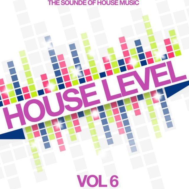 House Level, Vol. 6 (The Sound of House Music)