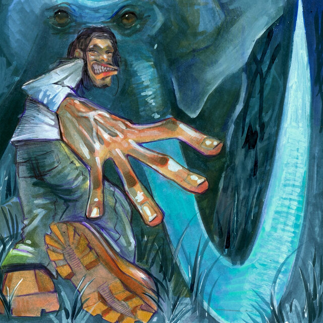 W!LD Deluxe: The Elephant & The Rider