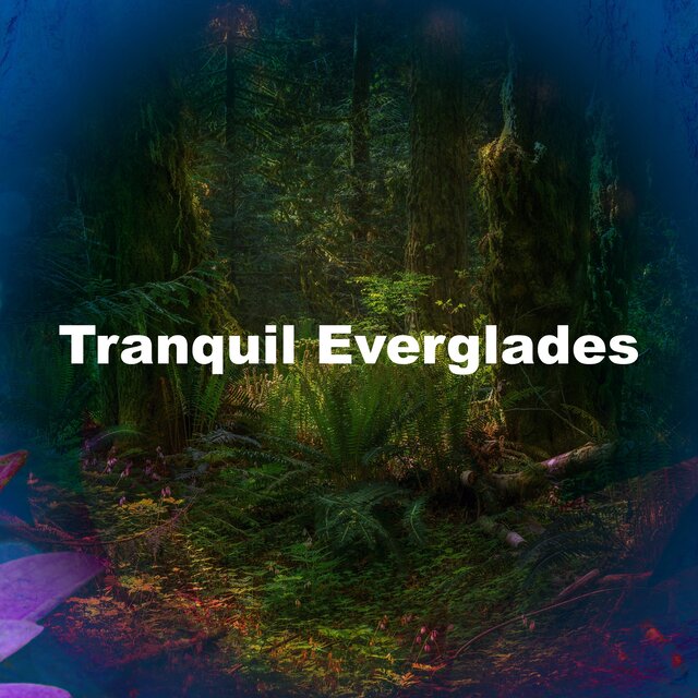 Tranquil Everglades