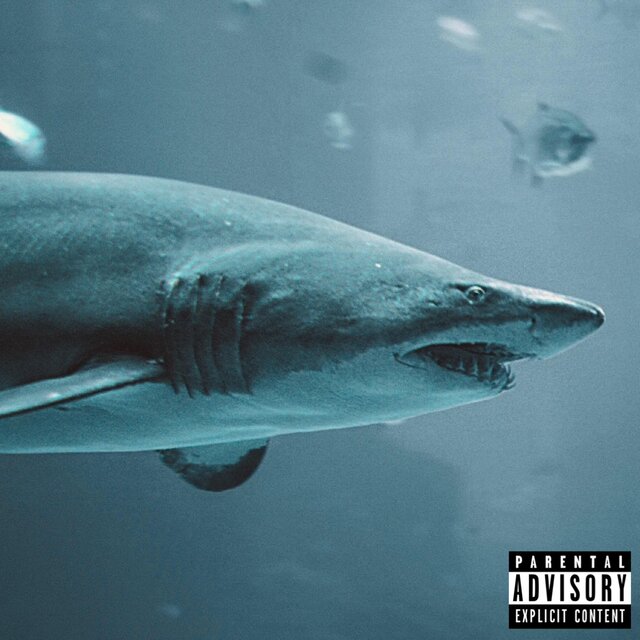 House Rules (feat. Rick Brown & Anonymuz)