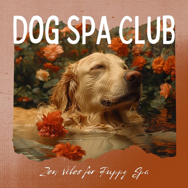 Zen Vibes for Puppy Spa