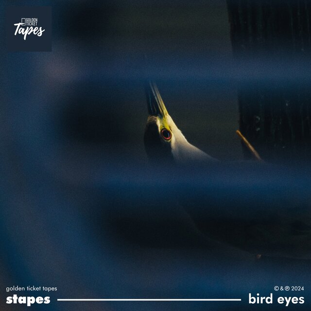Bird Eyes