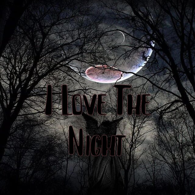 I Lovo The Night