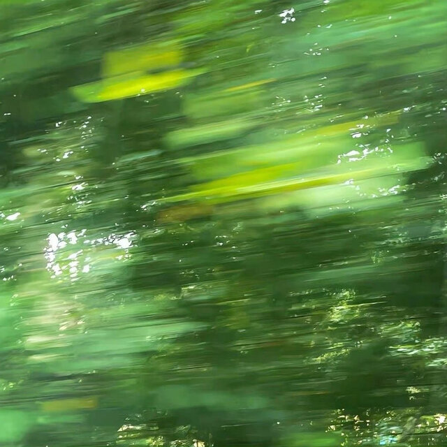 SWAMP