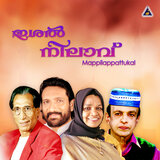 Vellipoom Thattamittu