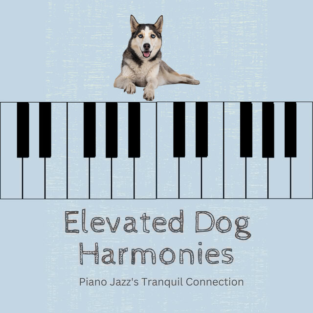 Elevated Dog Harmonies: Piano Jazz's Tranquil Connection