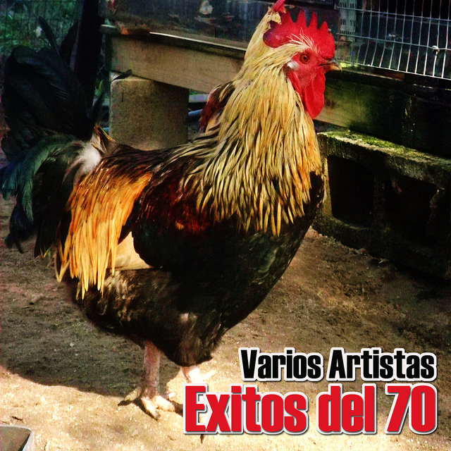 Exitos Del 70 (Digital Only)
