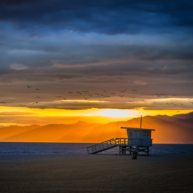 Malibu Hearts