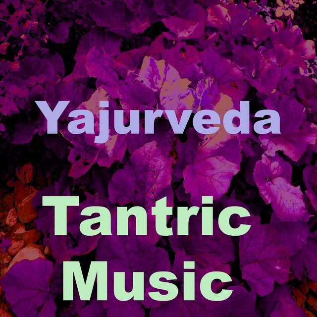 Tantric Music (Vol. 2)