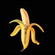 Cover art for album Welcome To The Monkey House by The Dandy Warhols