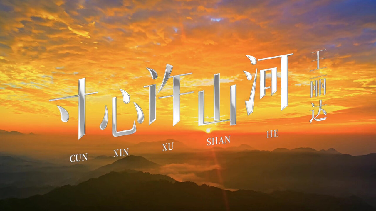 寸心许山河