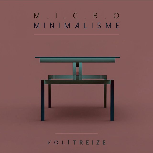 Micro Minimalisme Vol. Treize