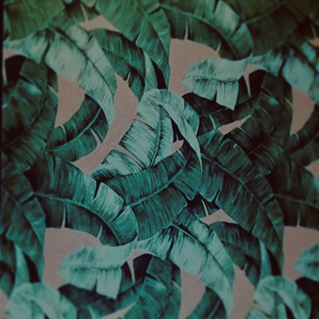 Green House