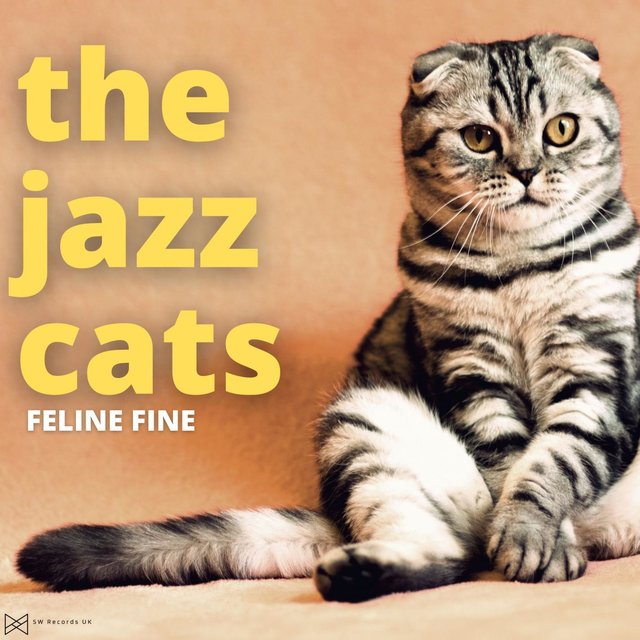 Feline Fine