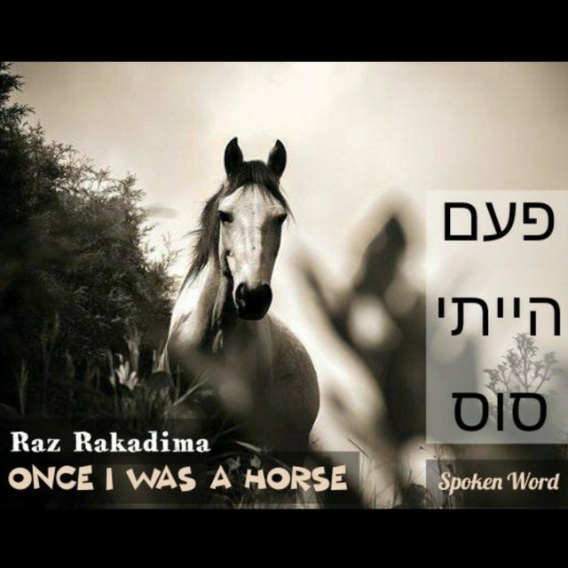 פעם הייתי סוס