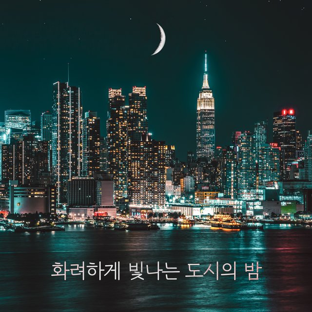 Splendid city night