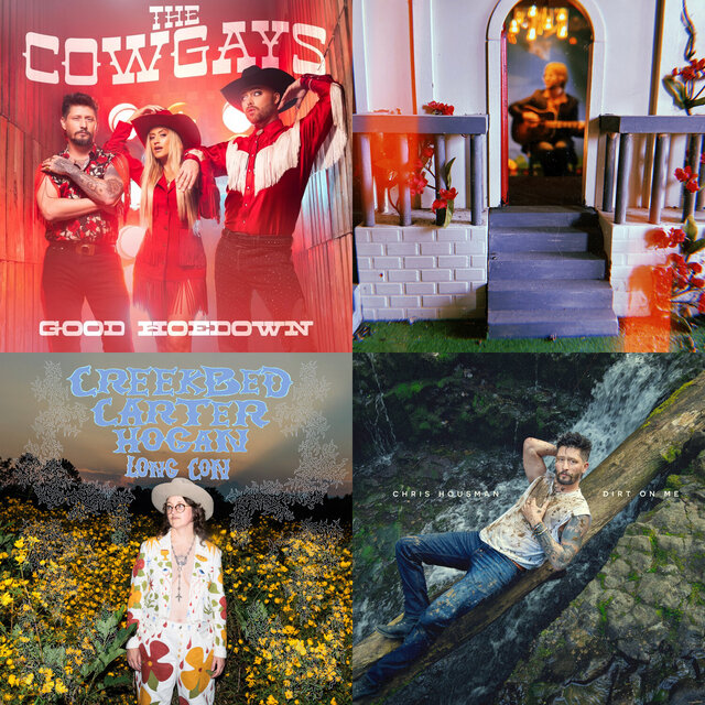 Cover art for album Rainbow Rodeo: A Playlist of LGBTQ+ Country, Americana, Blues, and Roots Music by User