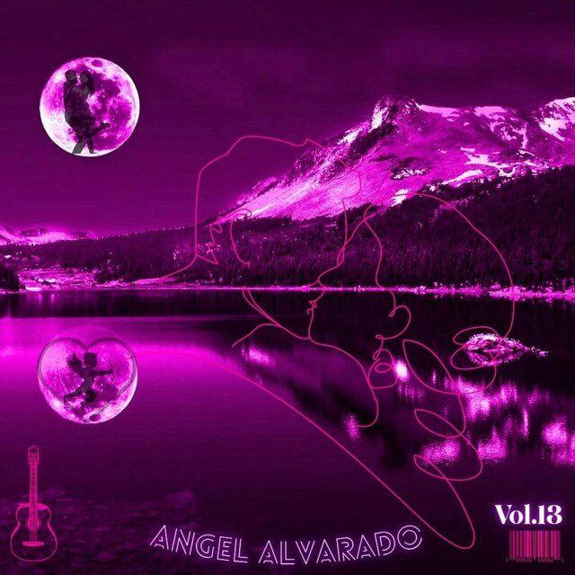 CANCIONES A MI ESTILO, Vol. 13